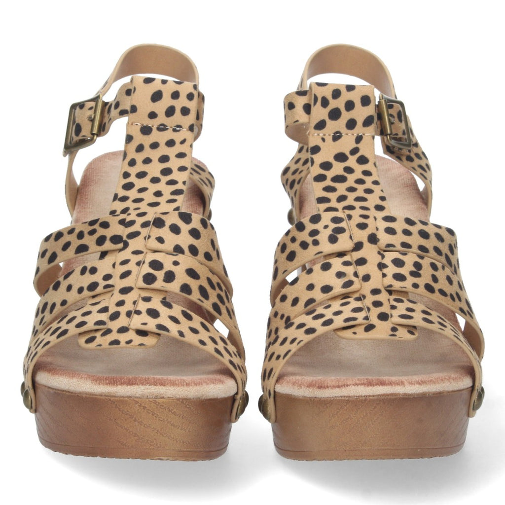 DB-2353-Leopard