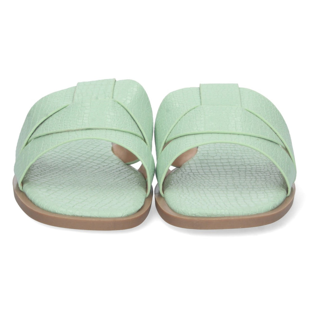 TF3106-Green