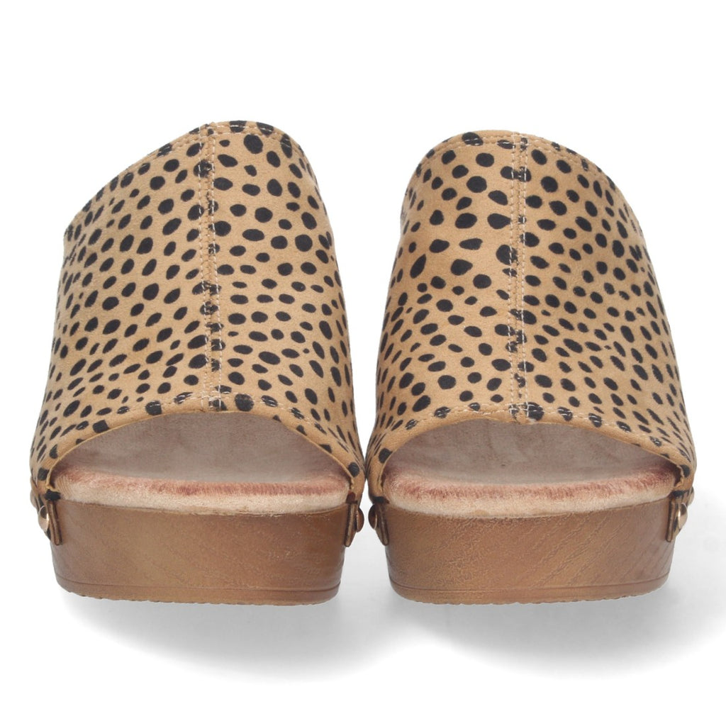 DB-2355-Leopard