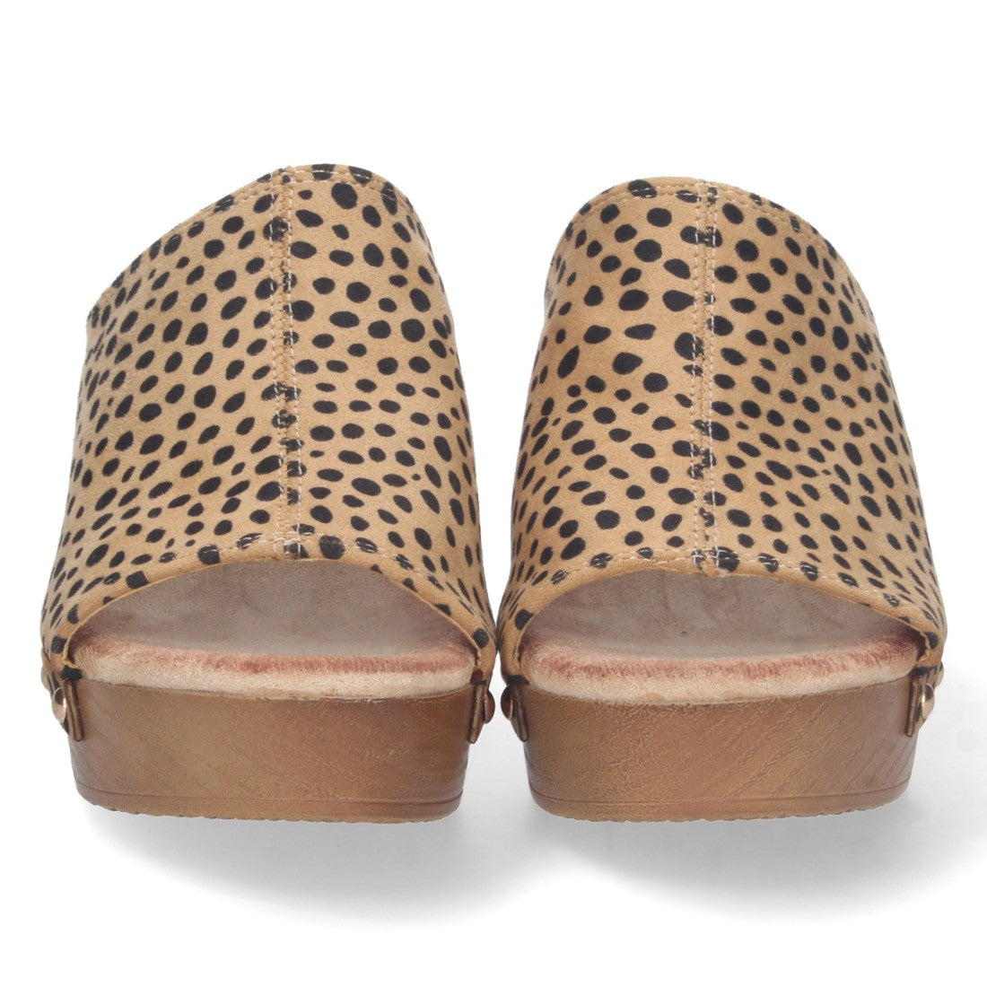 DB-2355-Leopard
