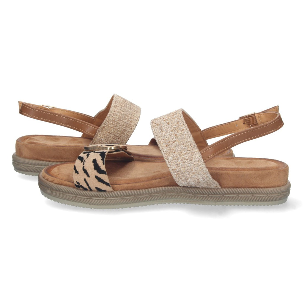 AF-2322-Leopard