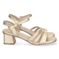 DB-2252-Gold