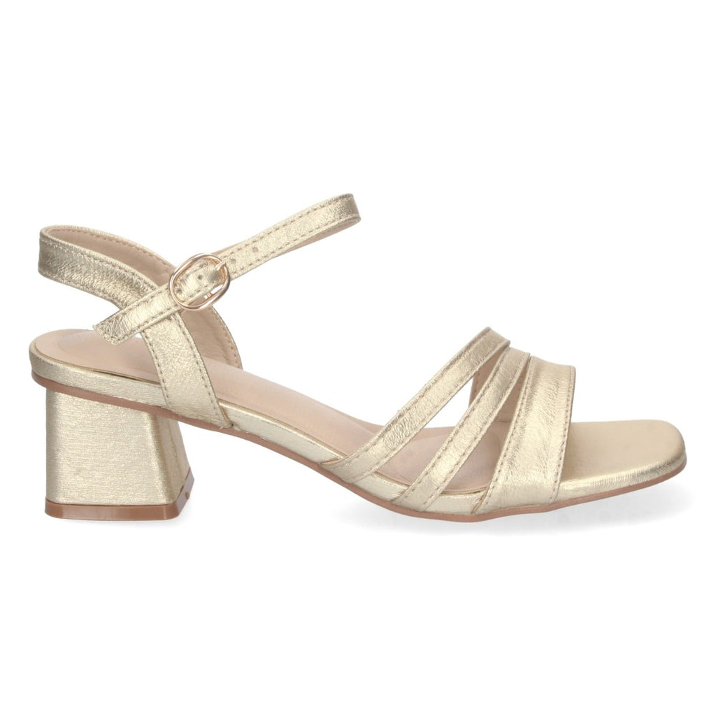 DB-2252-Gold
