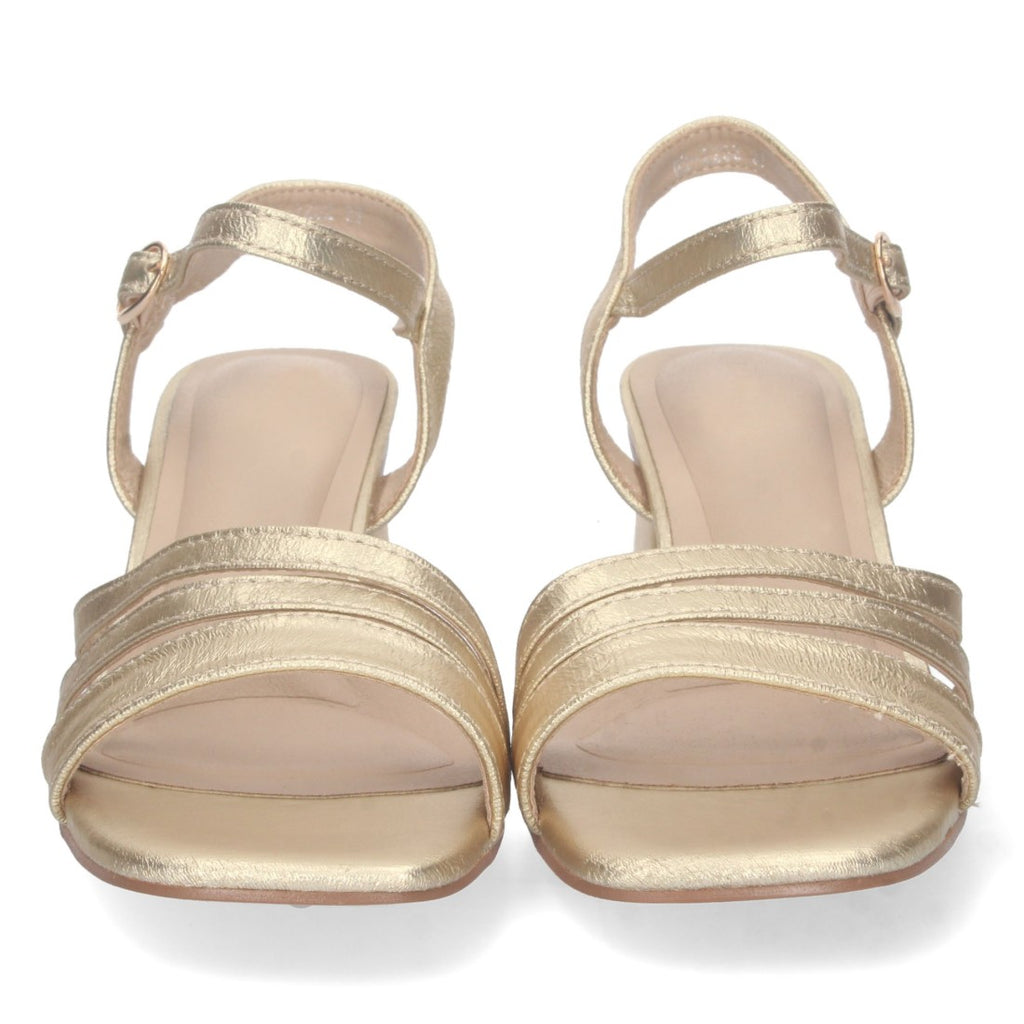 DB-2252-Gold