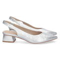 DB-2360-Silver