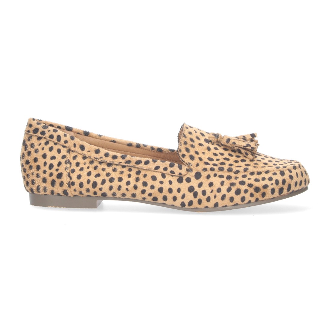1AS-0170-Leopard