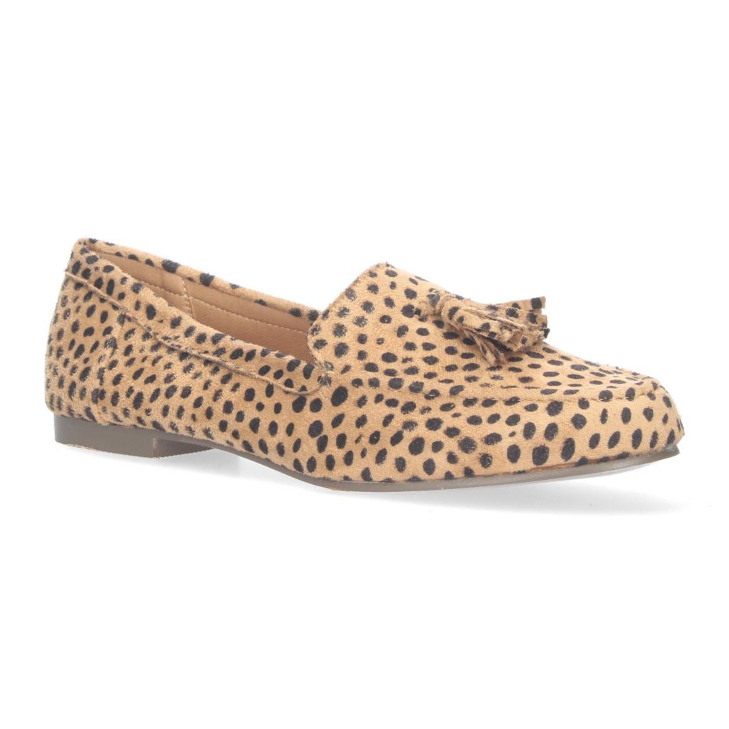 1AS-0170-Leopard