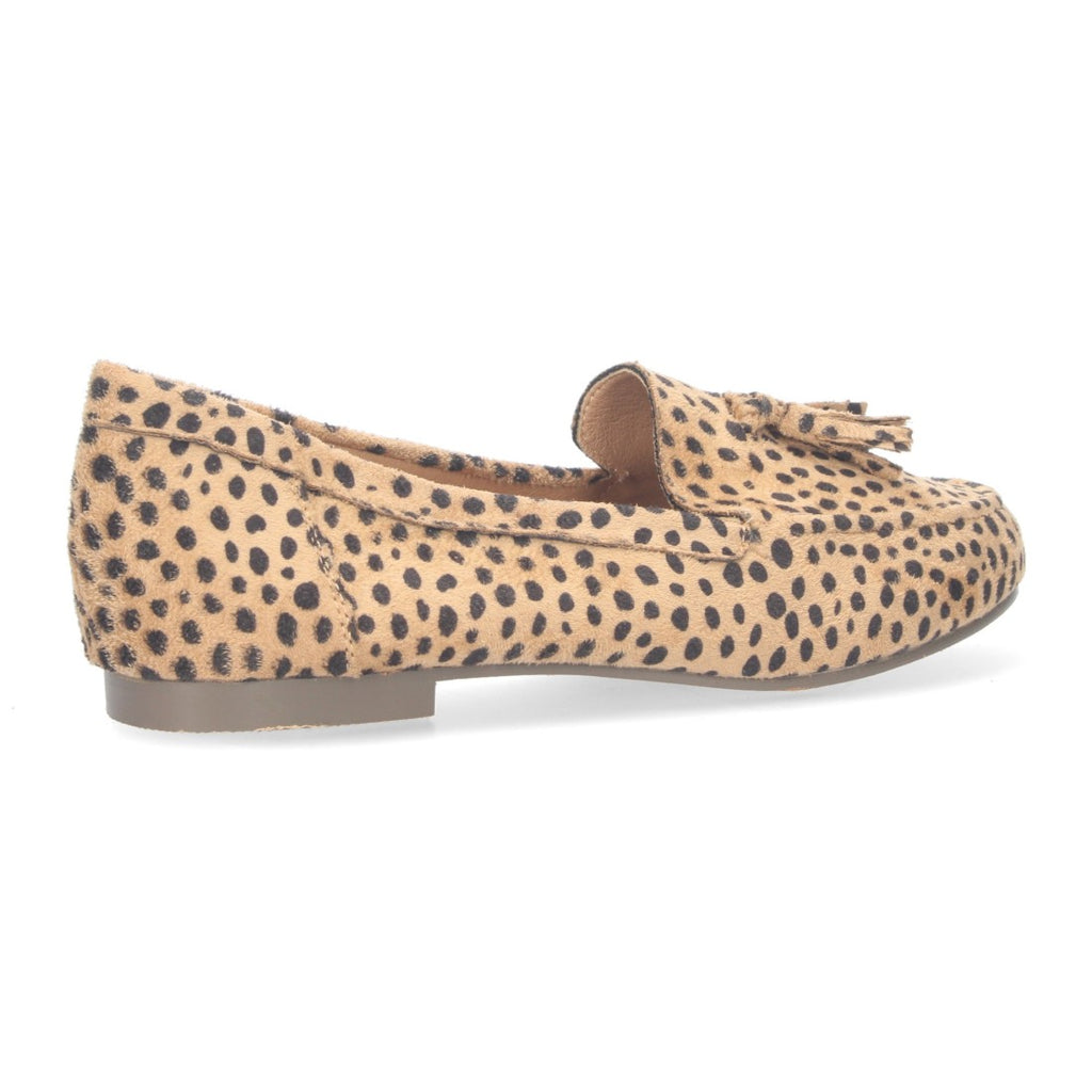 1AS-0170-Leopard