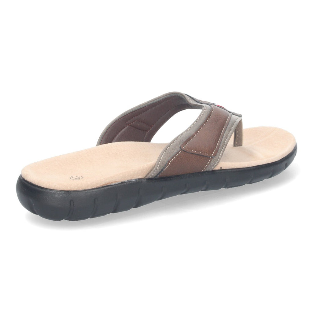 TZCN2203-Brown