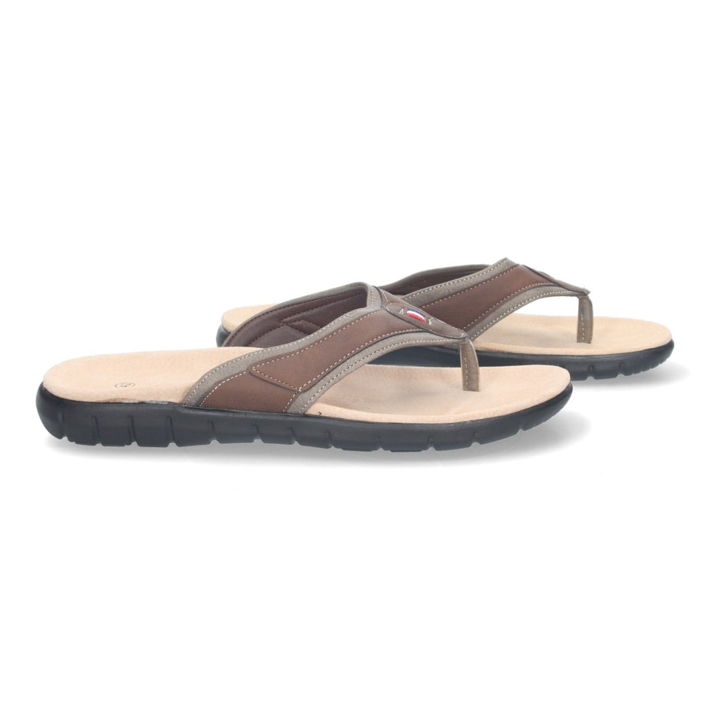 TZCN2203-Brown