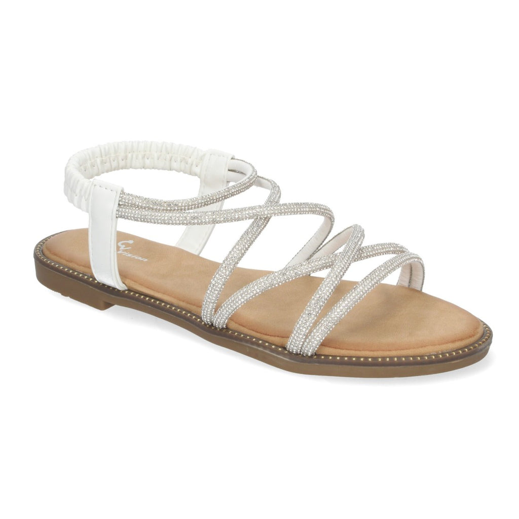 TF6016-White