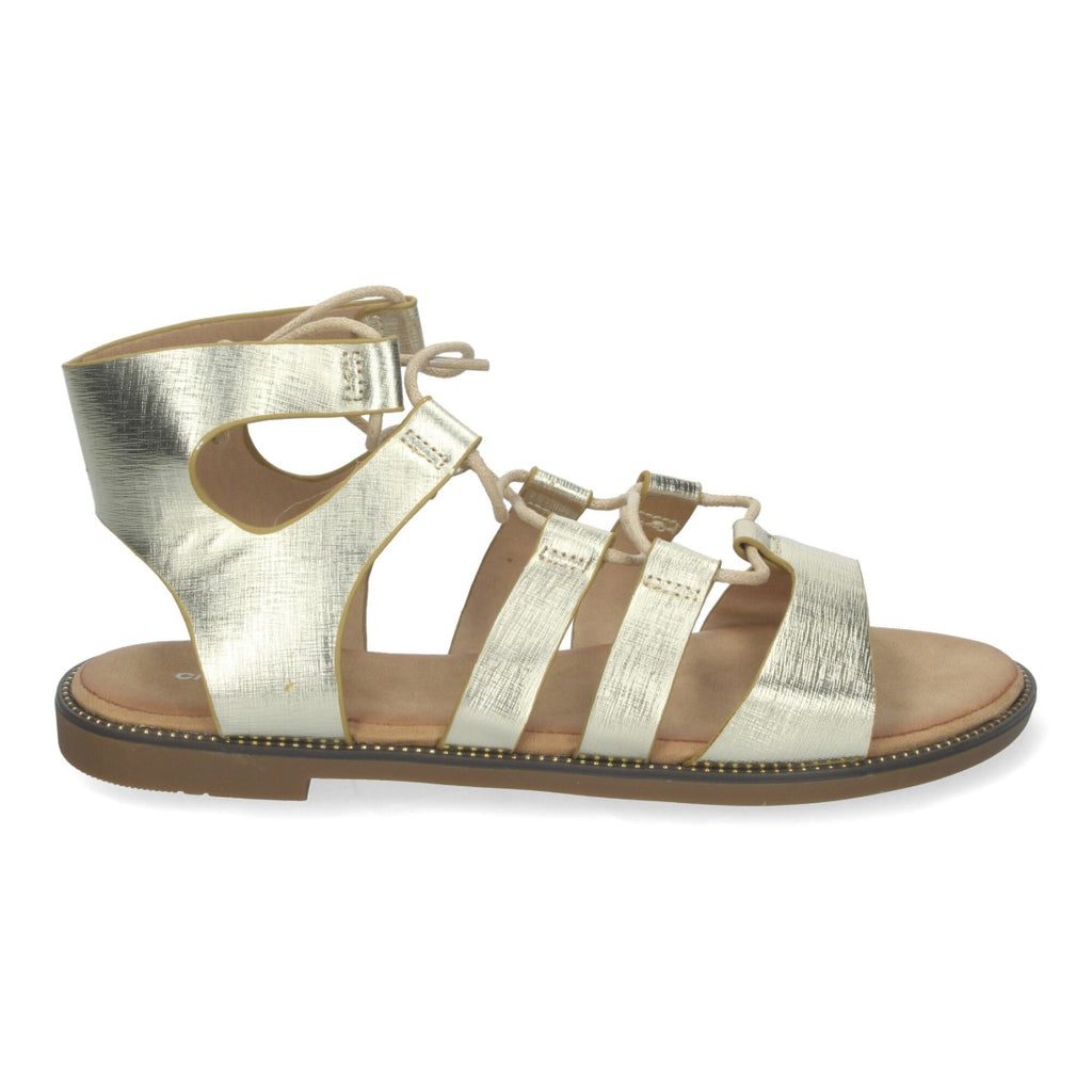 TF3110-Gold