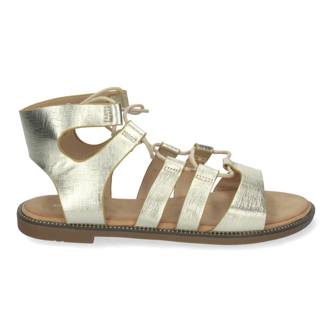 TF3110-Gold