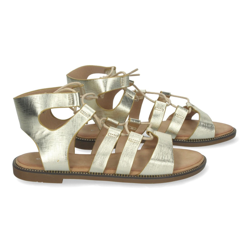 TF3110-Gold