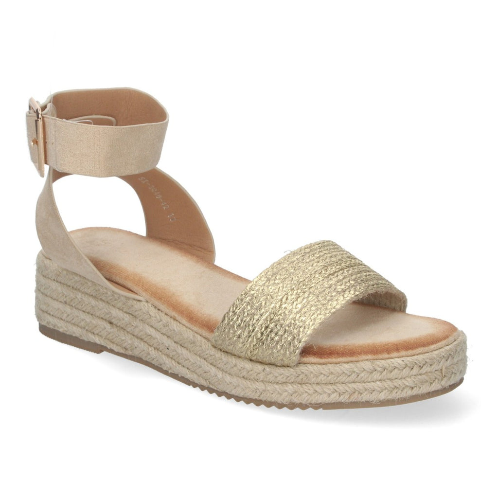 SX-3Q48-Gold