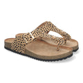 1A-1618-Leopard