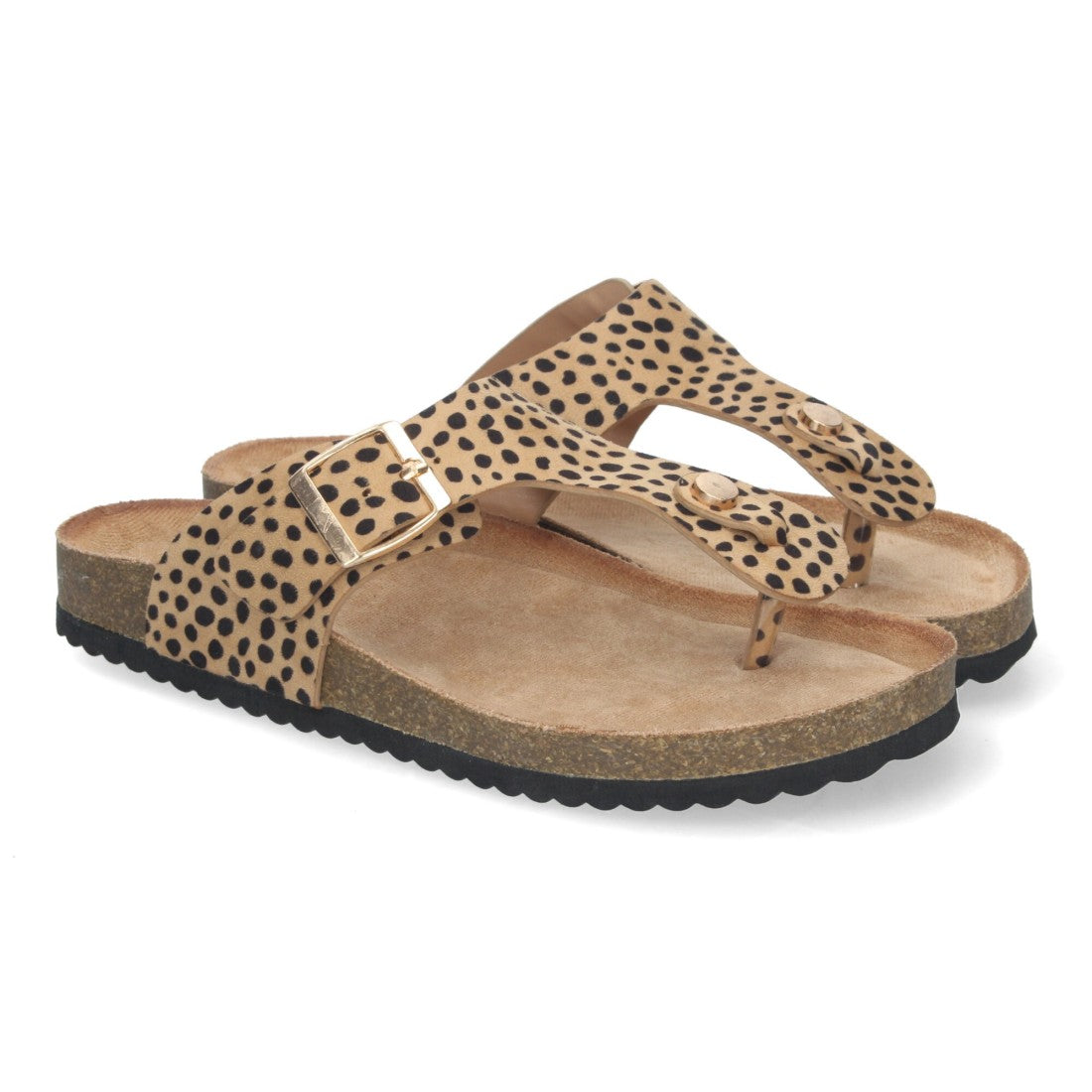 1A-1618-Leopard
