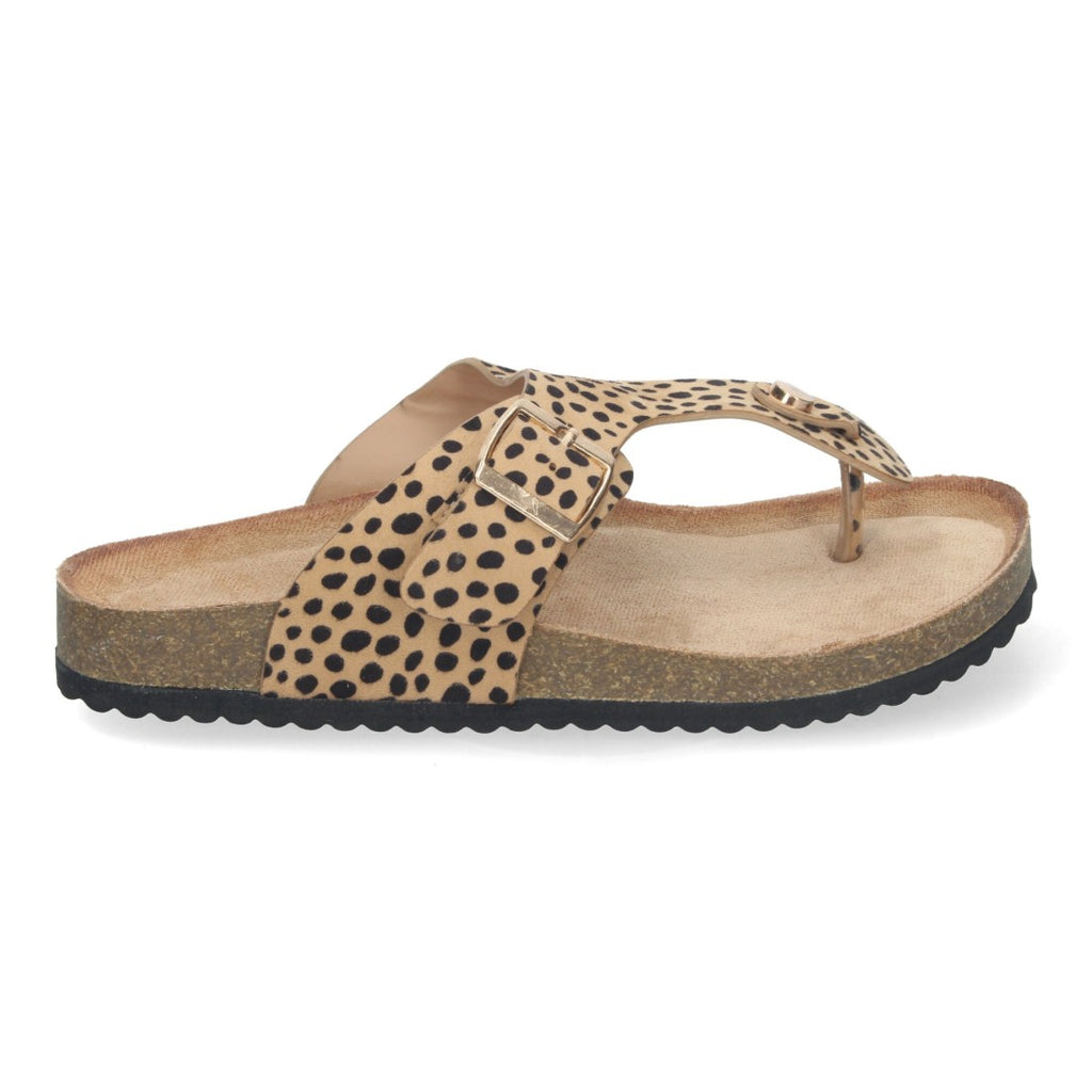 1A-1618-Leopard