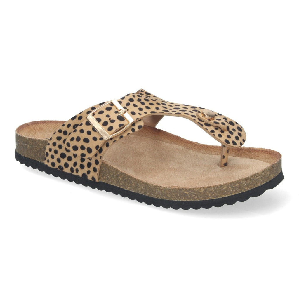 1A-1618-Leopard