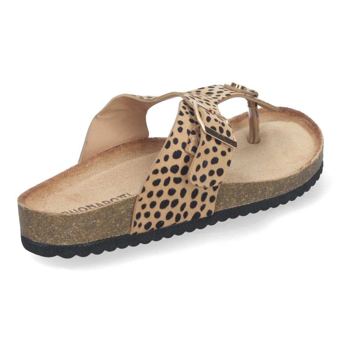 1A-1618-Leopard