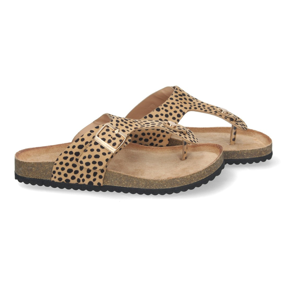 1A-1618-Leopard
