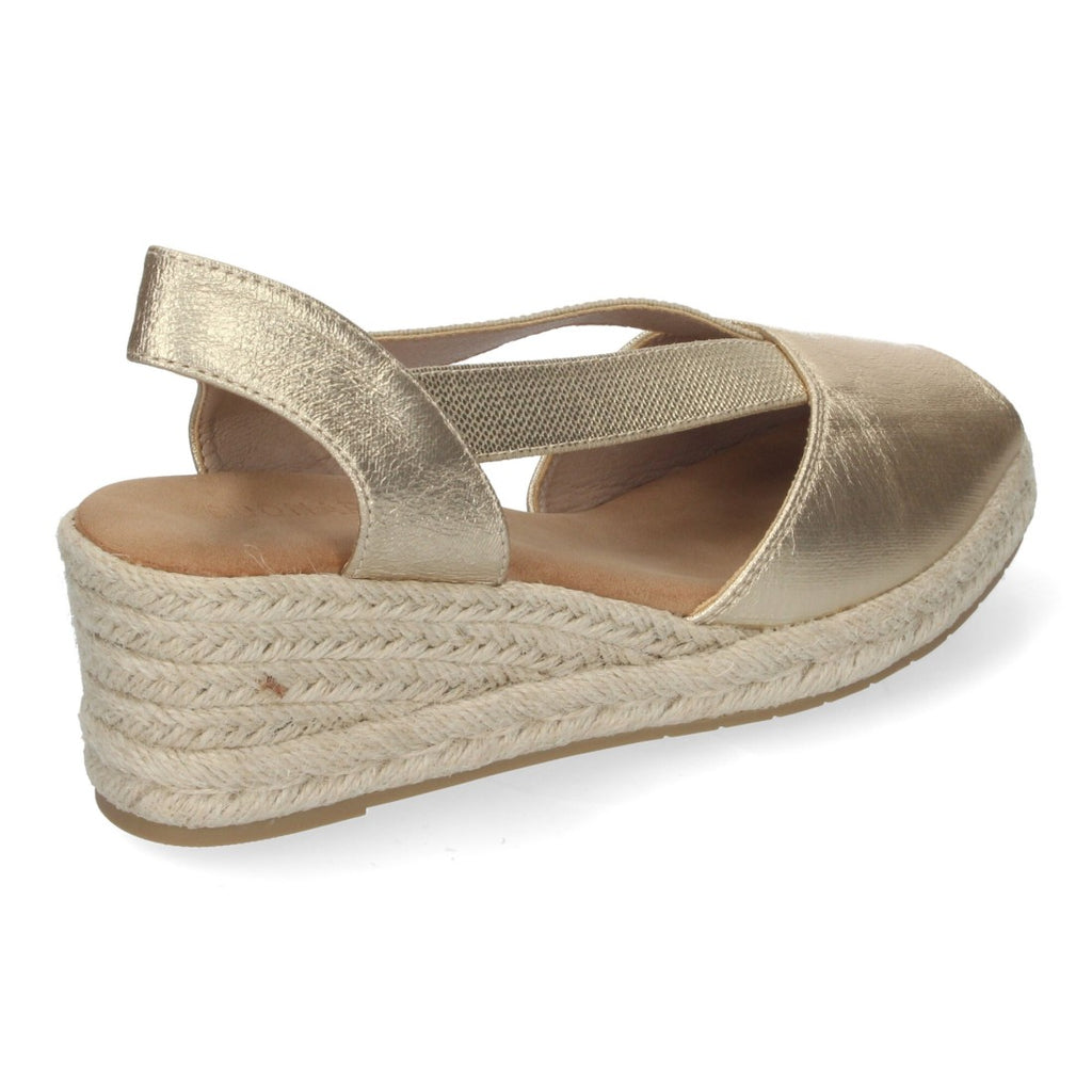 CF-3044-Gold