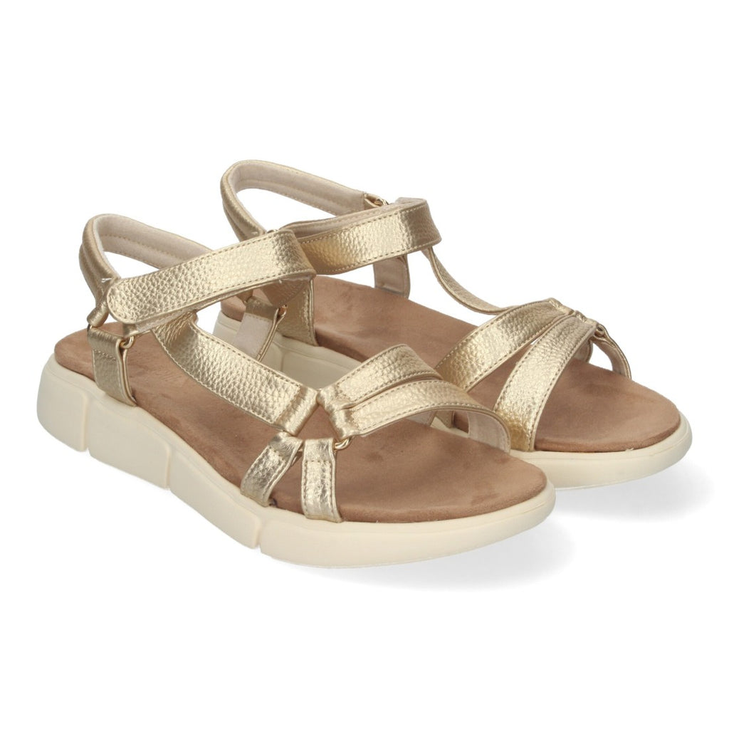 AD-3261-Gold