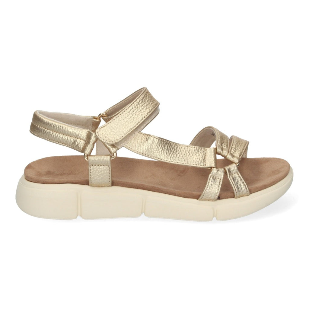 AD-3261-Gold