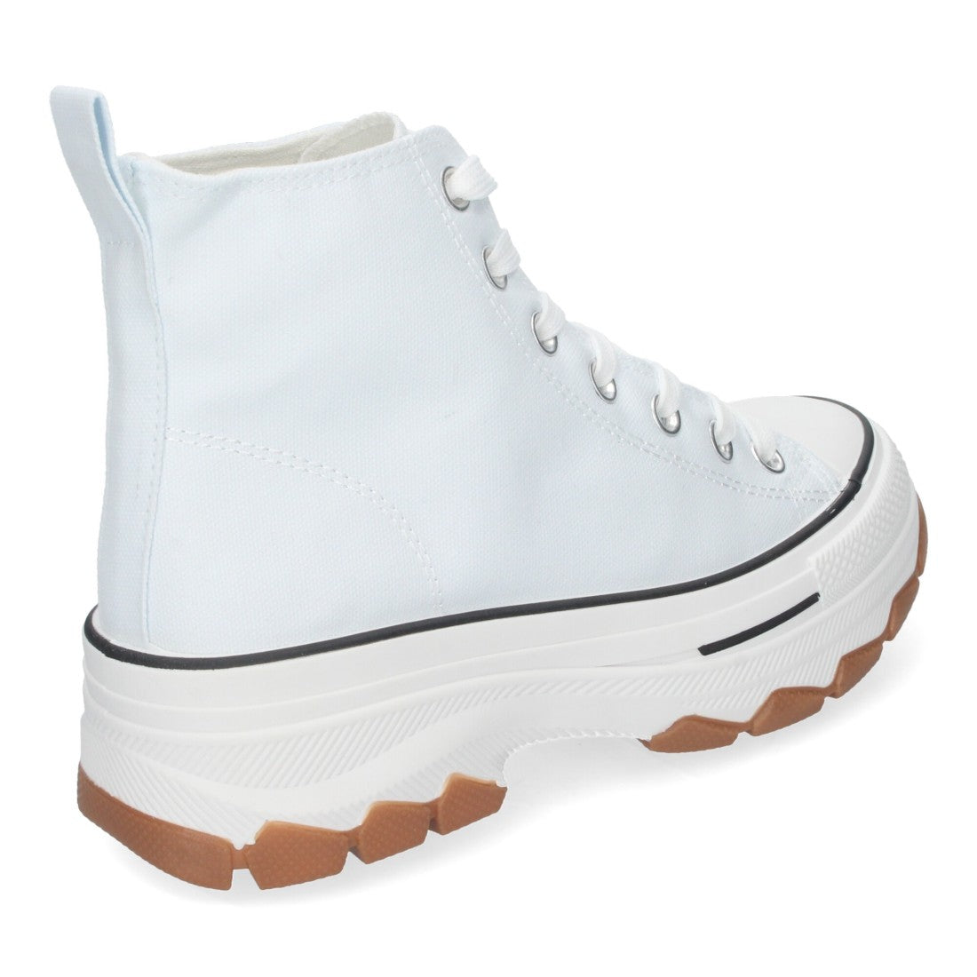 EV-100-Hielo