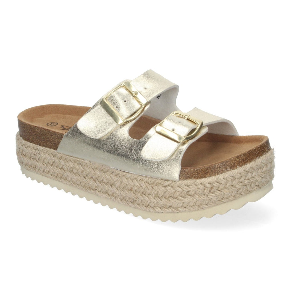 M-239-Gold