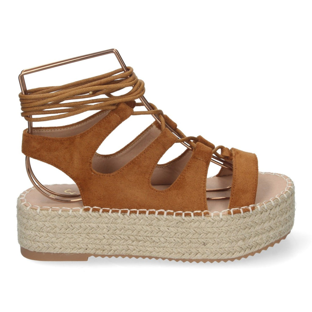 TF3306-Camel