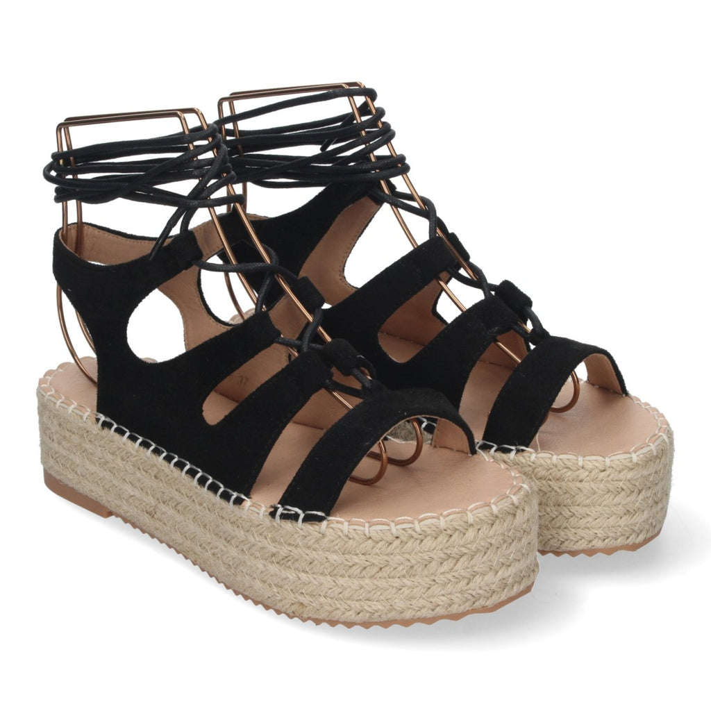 TF3306-Black