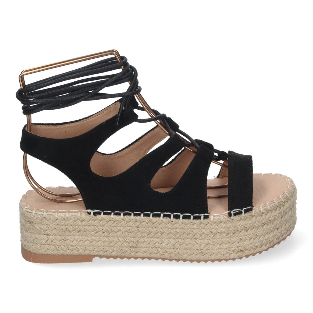 TF3306-Black