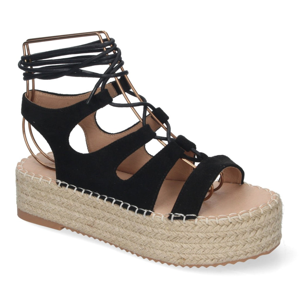 TF3306-Black