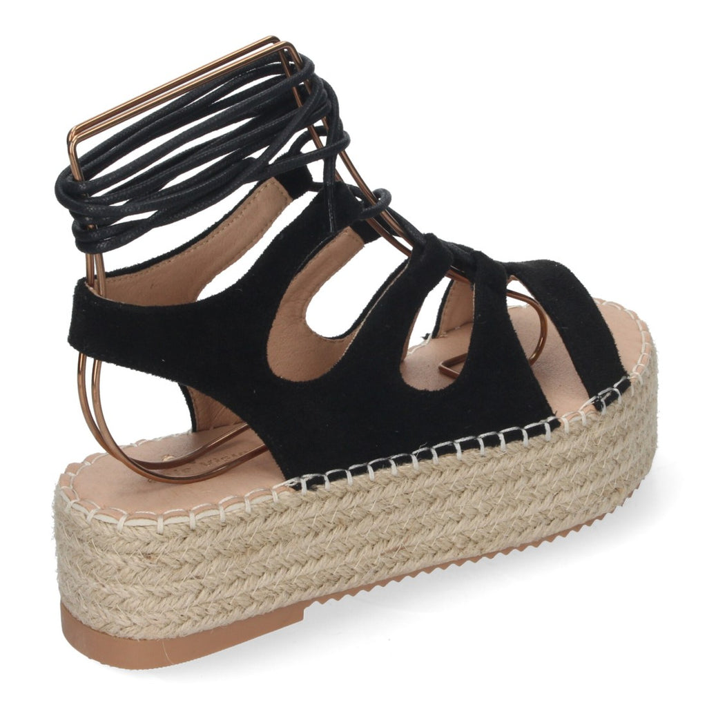 TF3306-Black