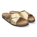 AY-2239-Gold
