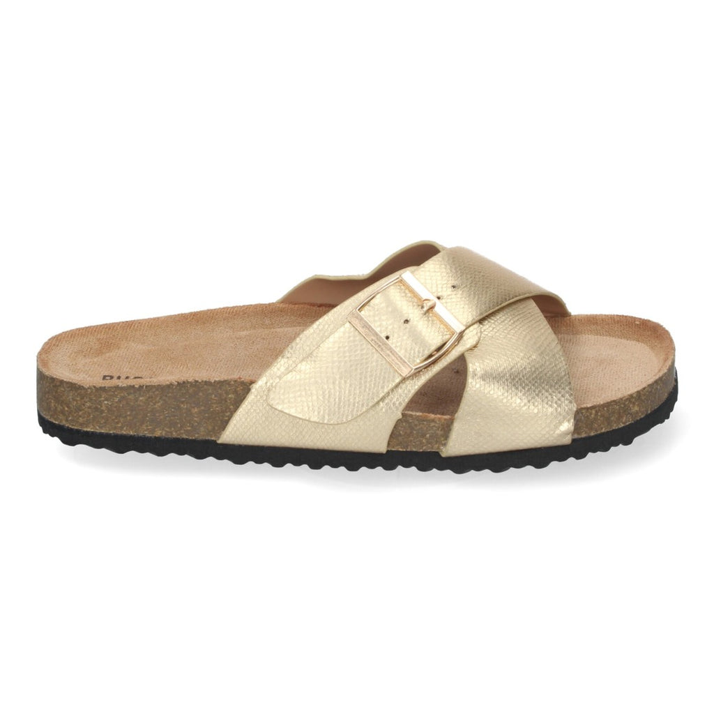 AY-2239-Gold