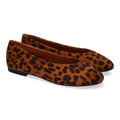 1U11-Leopard