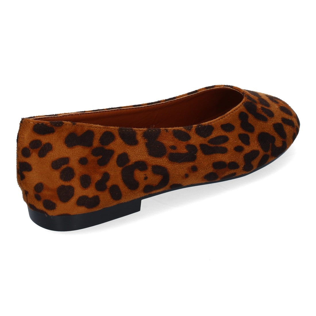 1U11-Leopard