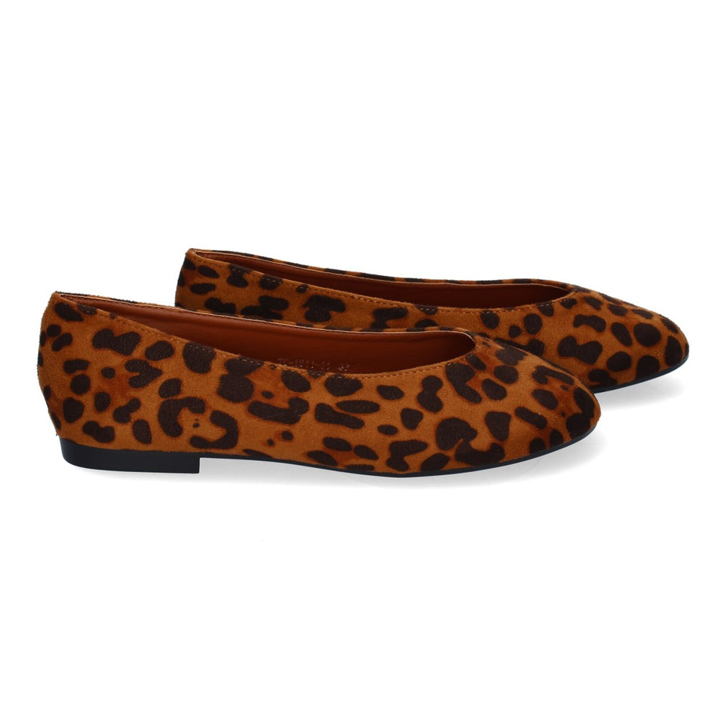 1U11-Leopard