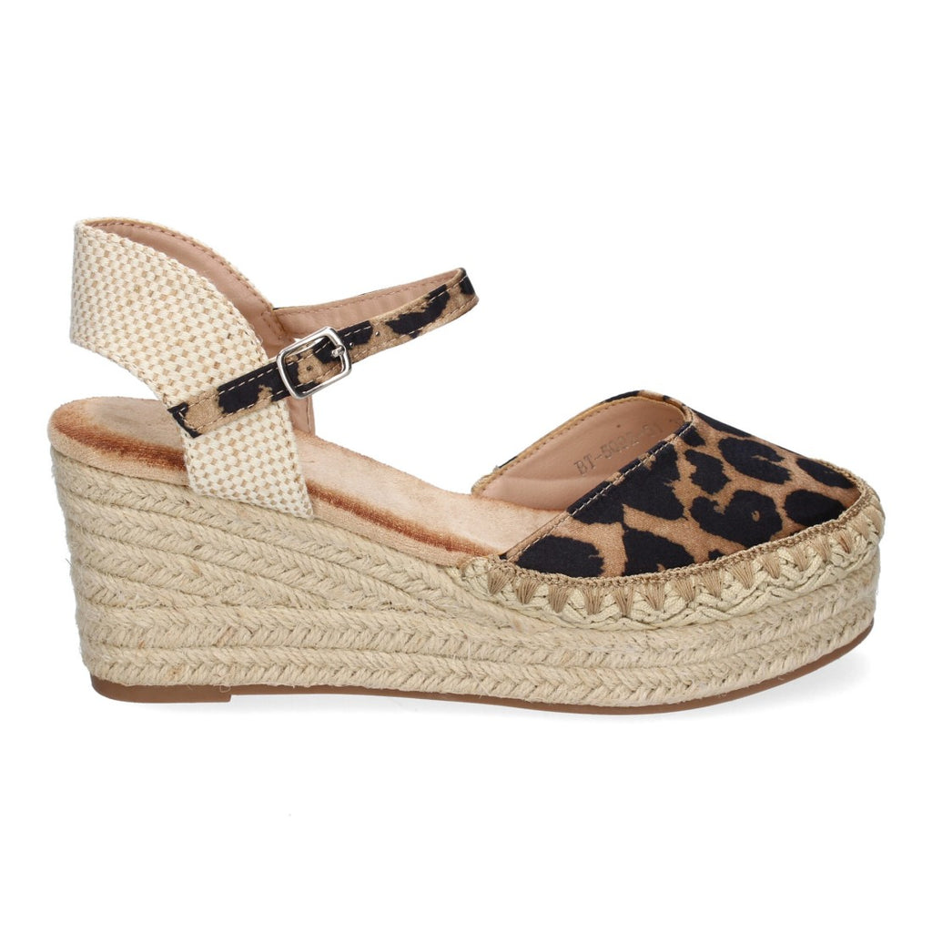 5Q92-Leopard