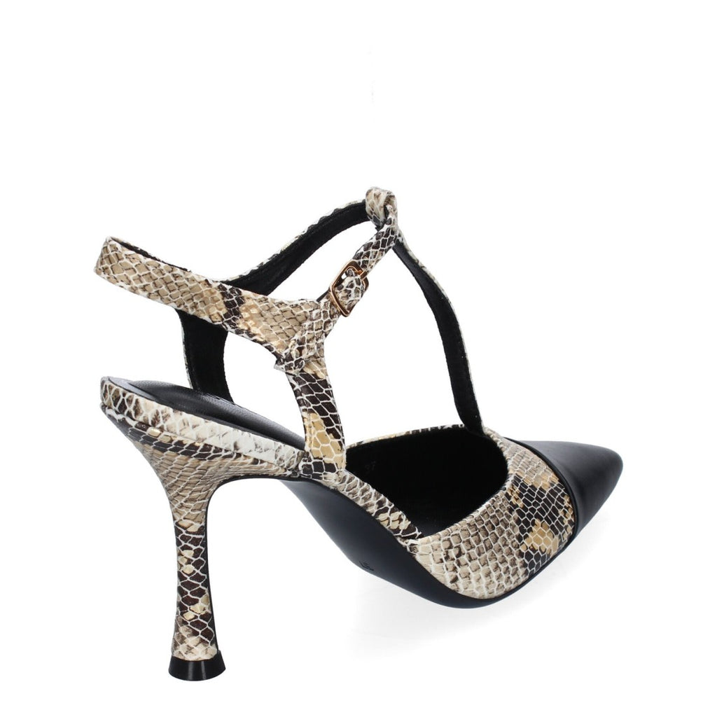 B-5098-Snake