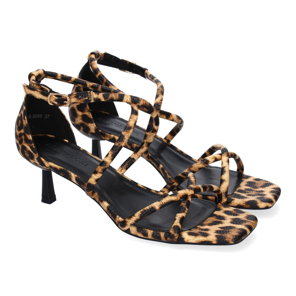B-5099-Leopard