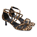 B-5099-Leopard