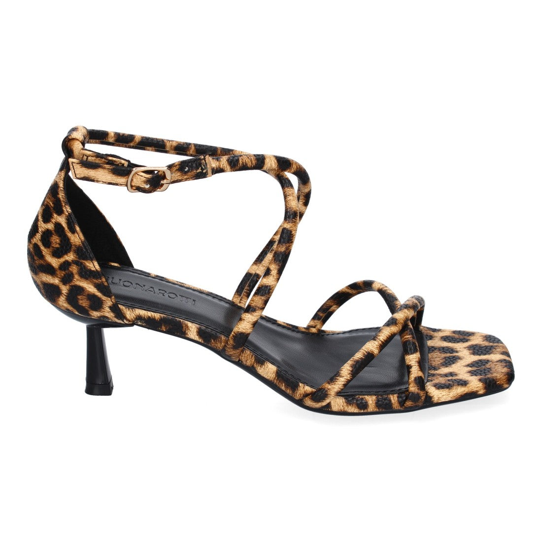 B-5099-Leopard