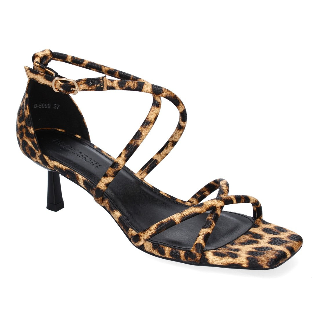 B-5099-Leopard