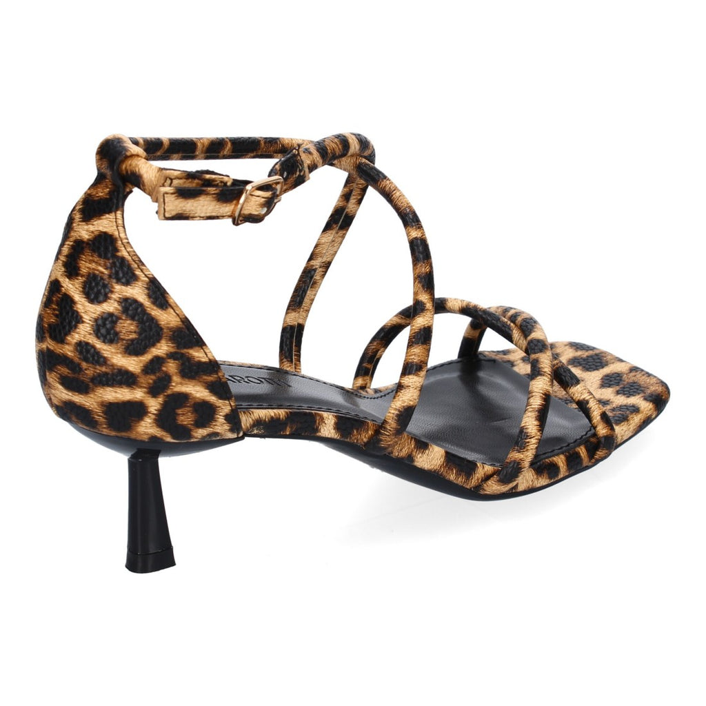 B-5099-Leopard