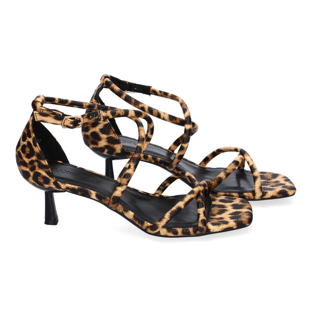 B-5099-Leopard