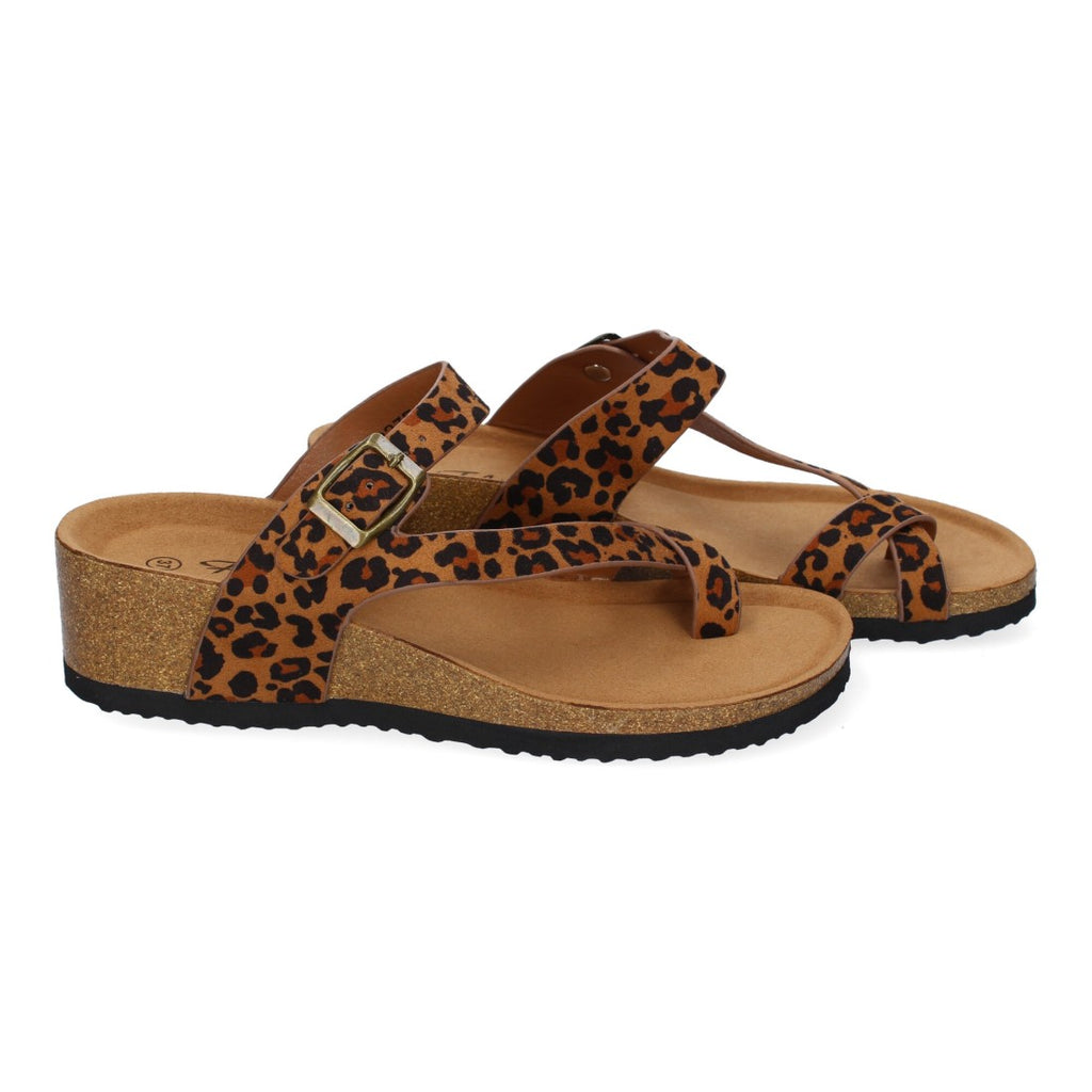 M-227C-Leopard