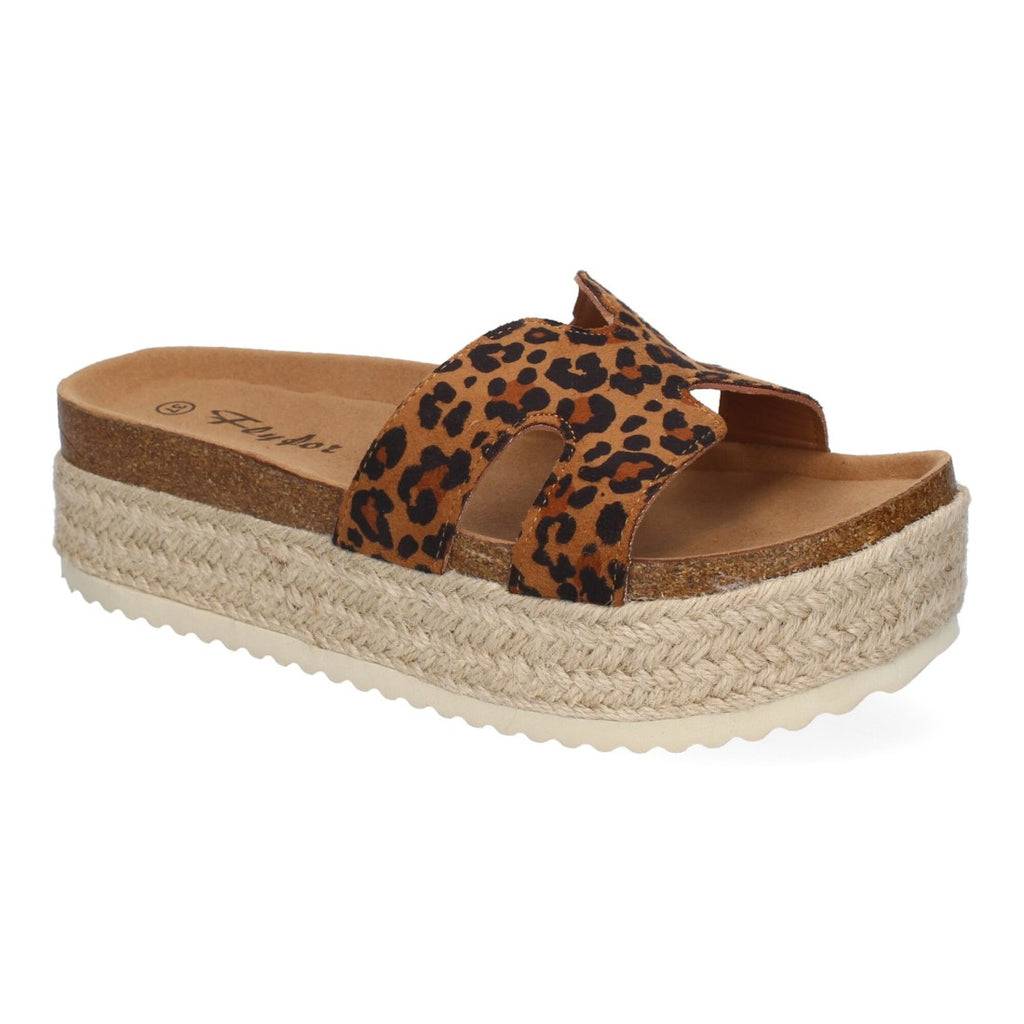 M-288-Leopardo